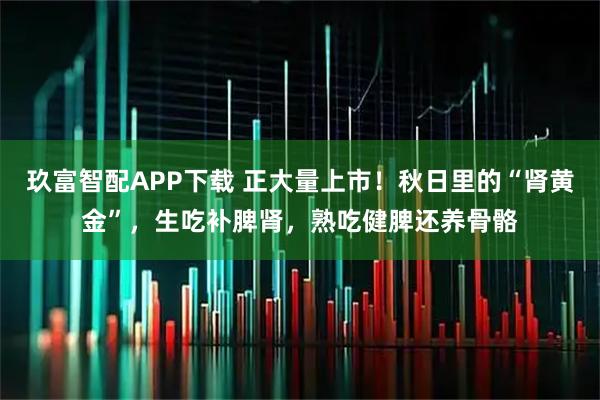 玖富智配APP下载 正大量上市！秋日里的“肾黄金”，生吃补脾肾，熟吃健脾还养骨骼